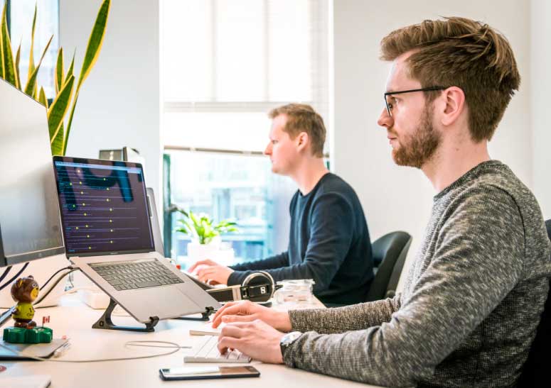 website design